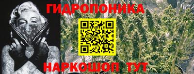 PSILOCYBIN Бузулук