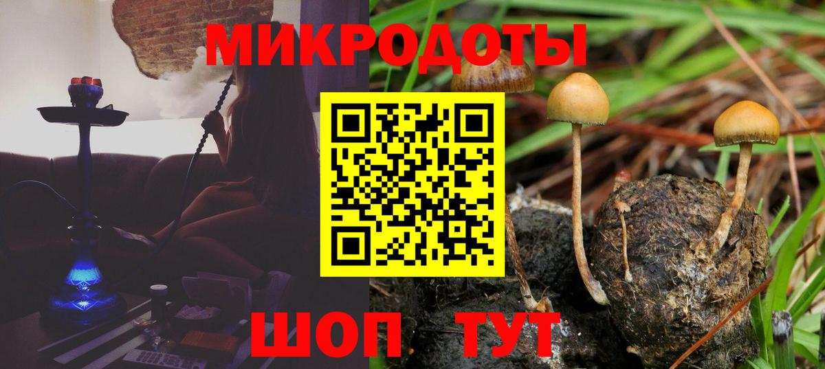 Туймазы  Галлюциногенные грибы Psilocybe  Вход с VPN 