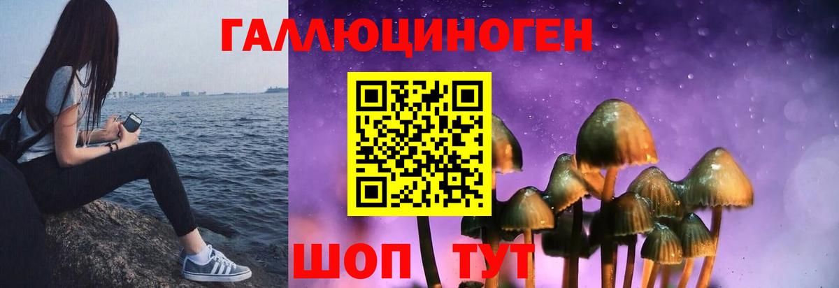 Галлюциногенные грибы прущие грибы Туймазы